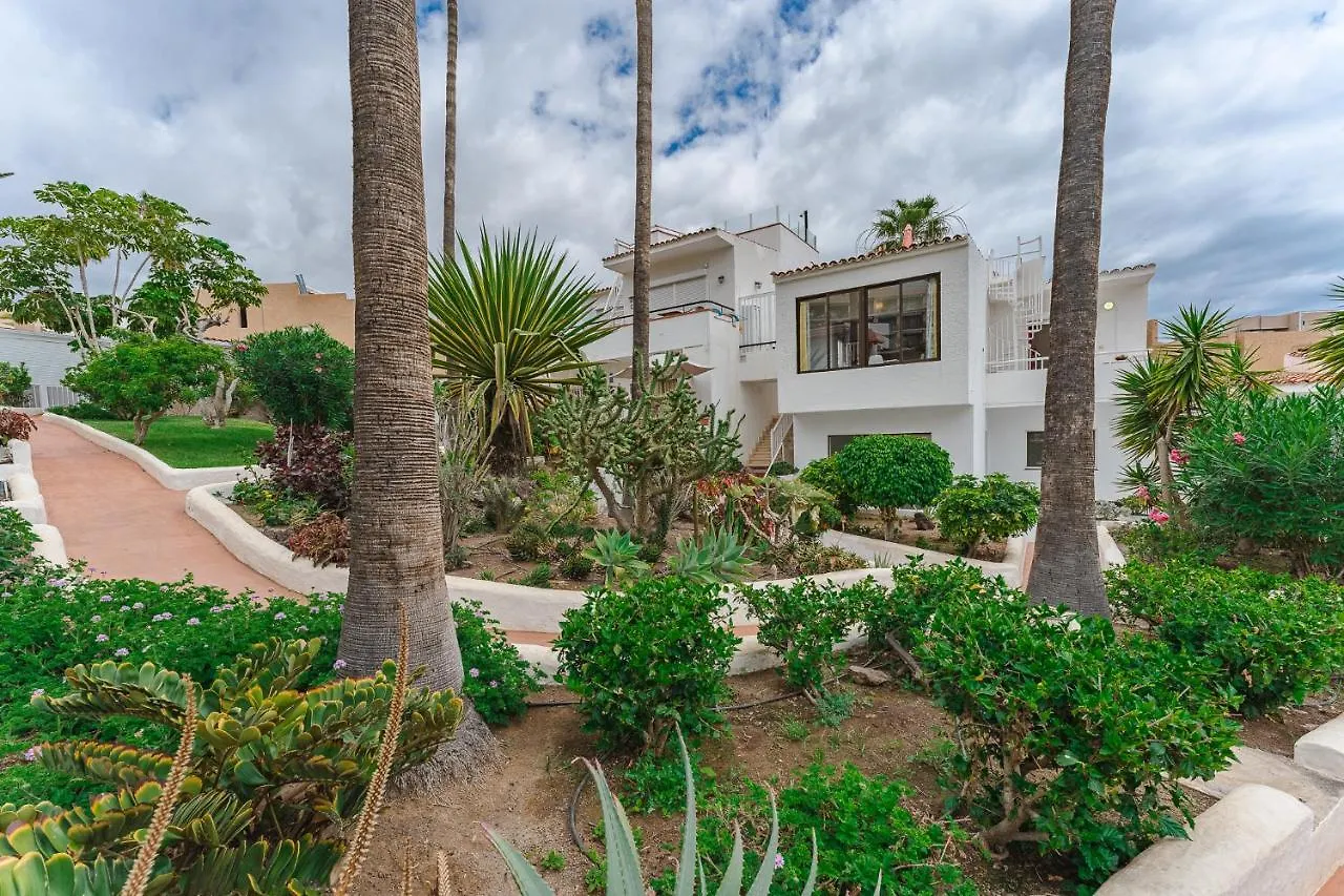 Apartment Near The Ocean And Sun Terrace Playa de las Americas  0*, Playa de las Americas (Tenerife)